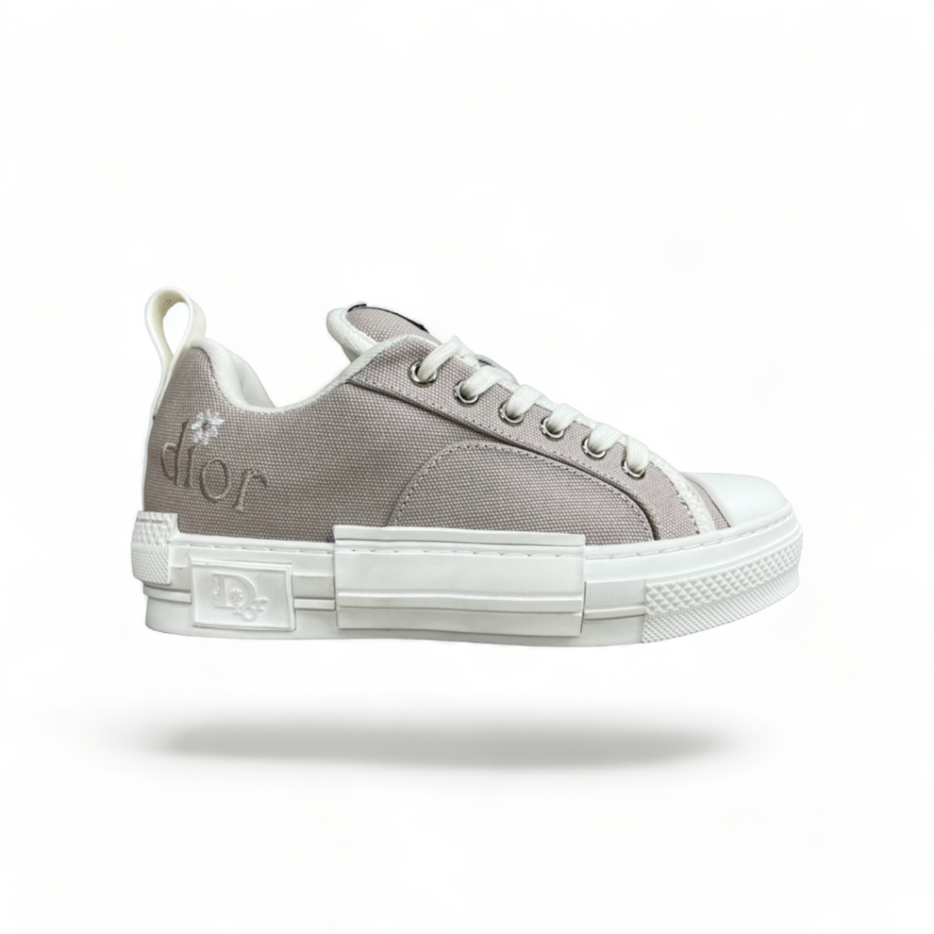 cristian dior B23 Skater Sneaker gray