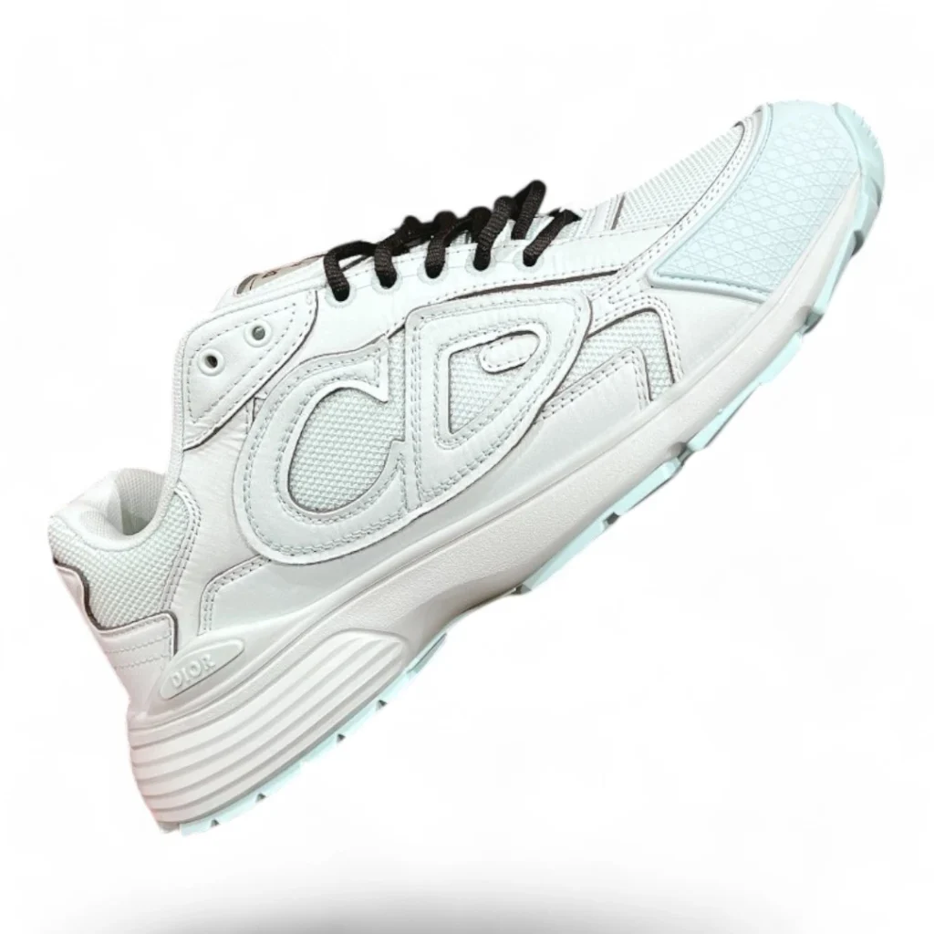 DIOR b57 white and black