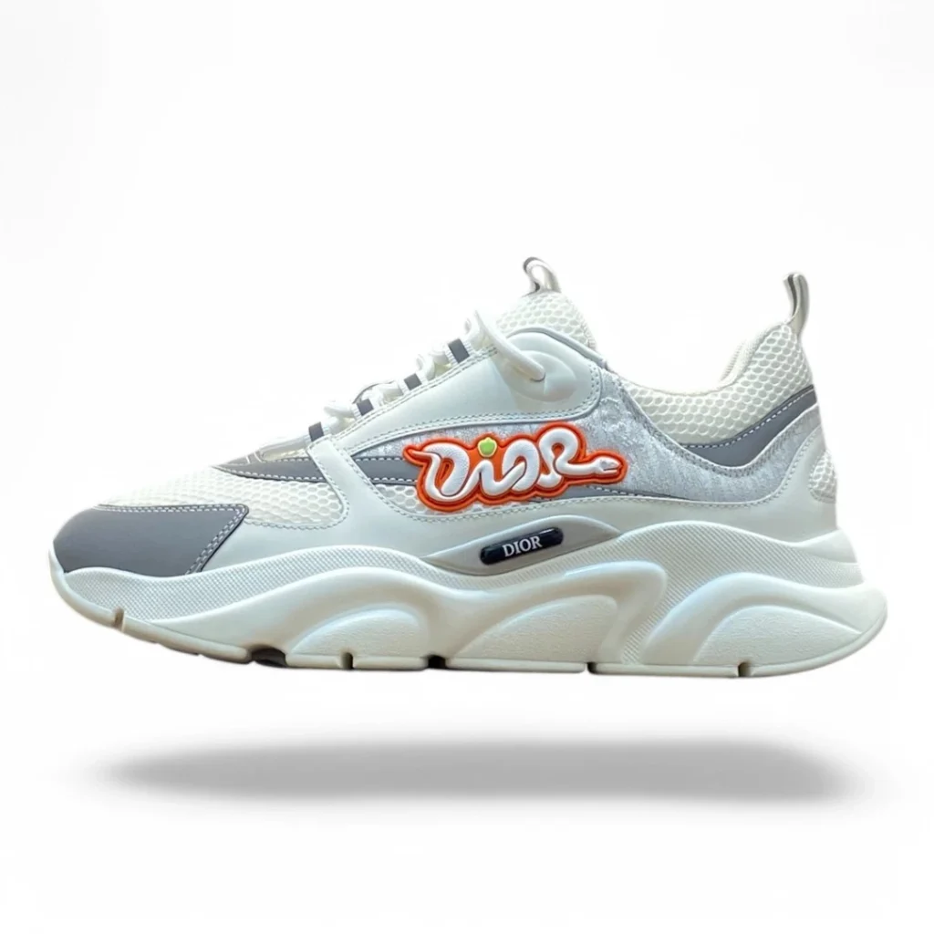 DIOR b57 white and grey