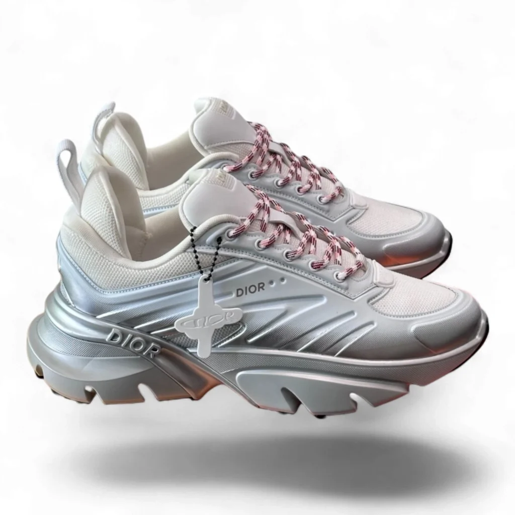 DIOR b22 silver and white